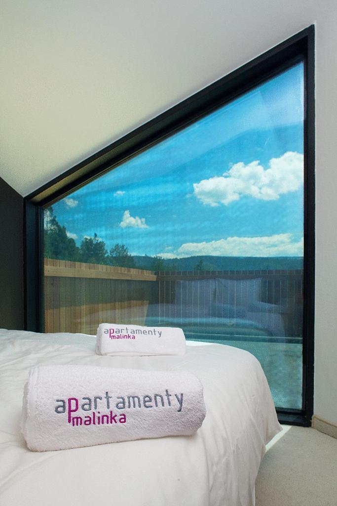 Apartamenty Malinka Висла Екстериор снимка